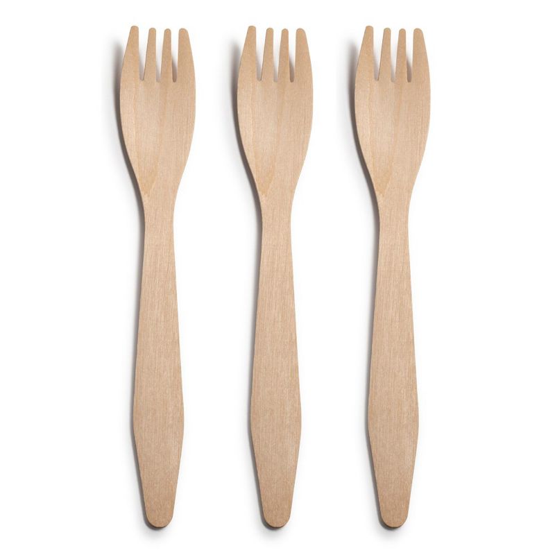 Smarty Had A Party Natural Birch Eco-Friendly Disposable Dinner Forks (600 Forks), 1 of 3