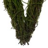 Vickerman 23"H x 12"W Carrot Outline Wreath - 2 of 4