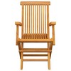 vidaXL 2X Solid Acacia Wood Patio Chairs with Taupe Cushions - Foldable Garden, Terrace and Patio Seating - 4 of 4