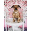 Pink Papyrus Isabella Dog Collar - 3 of 3