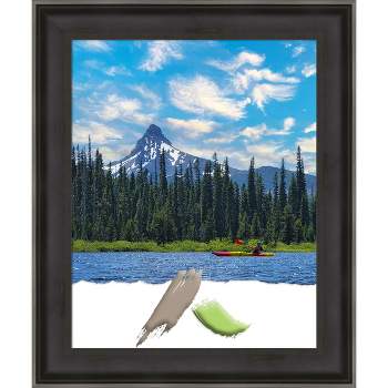 Amanti Art Allure Charcoal Wood Picture Frame