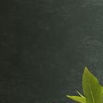 retro color + black table legs