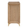 Treasure Trove Accents 2 Door Cabinet Sherwood Wheat Brown: Elegant Diamond Hardware, No Assembly Required, Pine & MDF - 3 of 4