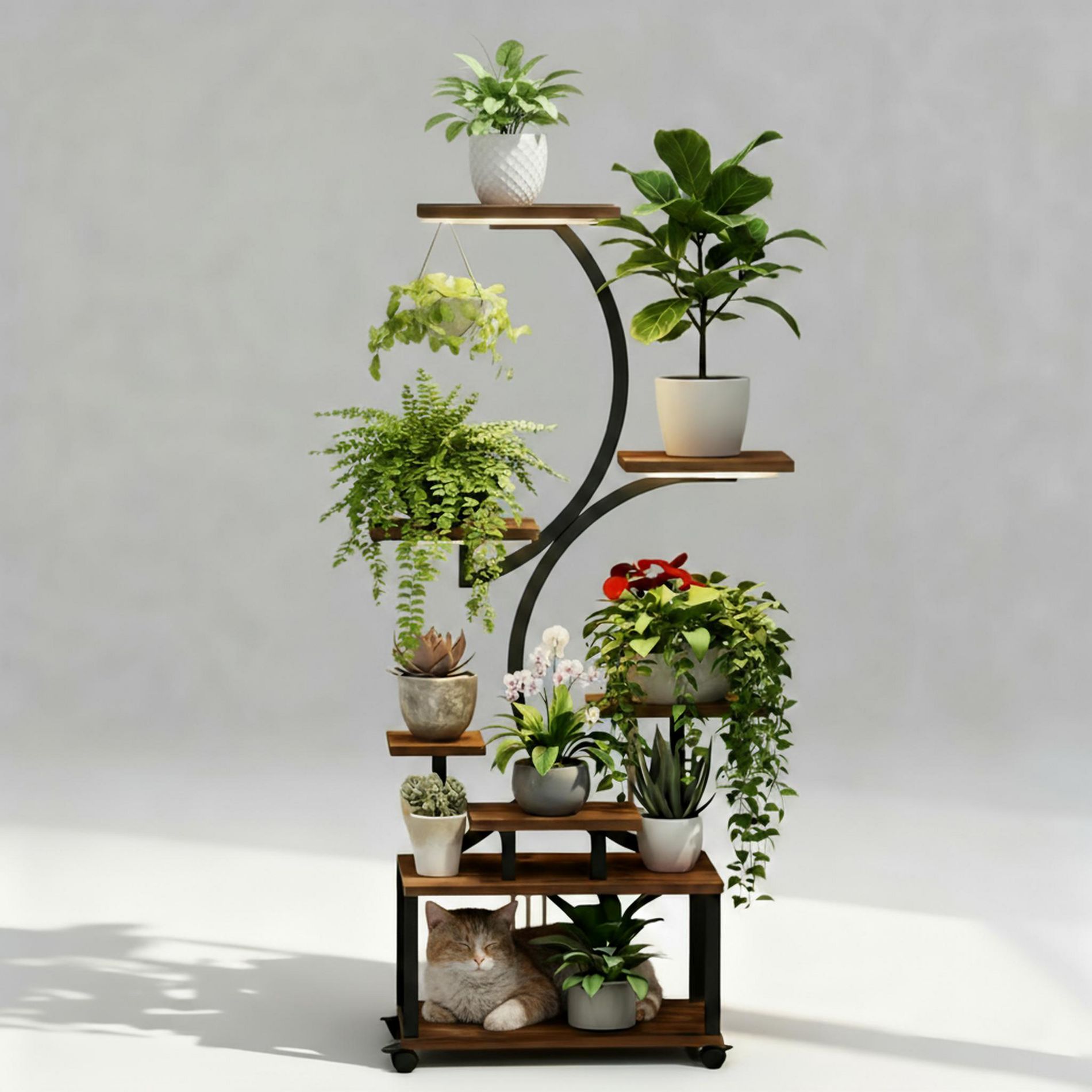 Fortune Candy 61" Tall Corner Shelf with LED Lights, Modern Display Shelf for Books, Plants, and Pet Accessories, MDF+Metal