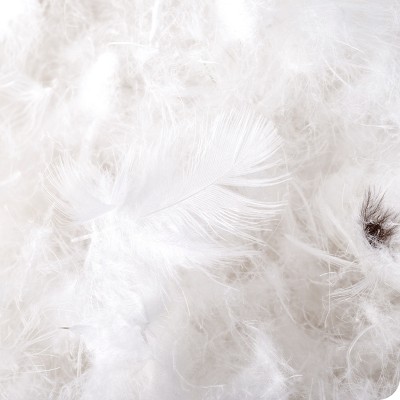 Full/Queen White Down Comforter with Cotton Shell