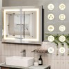 Lighted Medicine Cabinet with Mirror Wall Mounted Bathroom Mirror with Storage - 3 of 4