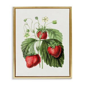 Stupell Industries Vintage Strawberries Study, 21" x 17" - 1 of 4