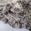 Iceland Shag ISG519 Power Loomed Rugs - Safavieh - 4 of 4