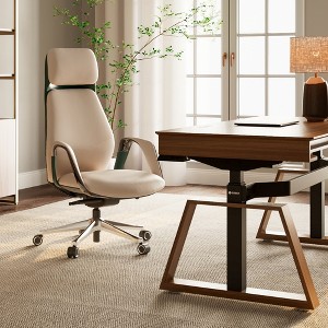 EUREKA ERGONOMIC SERENE, Napa Leather Executive Office Chair - 1 of 4