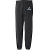 Northern Vermont University Primary Logo Jogger Sweatpants - 2 of 4