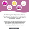 Live 3" Waterfall Orchid Potted Plant (Colors May Vary) - Good Little Garden™ - 2 of 4