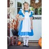 Halloweencostumes.com X Large Women Fun Costumes Womens Adult Deluxe Alice  Costume., Black/white/blue : Target