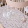 Sammy & Lou Mobile Cottontail Cloud - 3 of 4