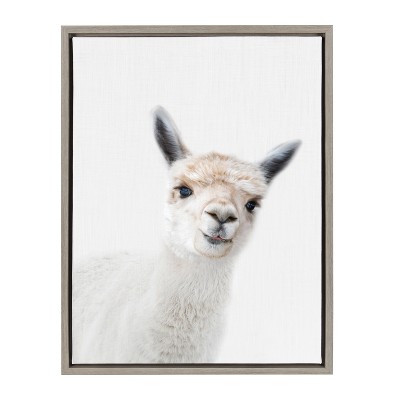 18" x 24" Sylvie Alpaca Canvas Wall Art by Amy Peterson Gray - Kate and Laurel