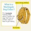 Country Brook Petz HossFit Jr Wide Martingale Dog Collar - Spring Collection - 2 of 4
