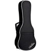 Cordoba 35T Tenor Ukulele Acacia Natural - 4 of 4