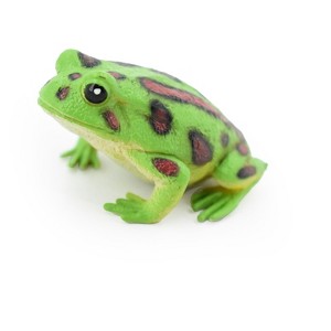 Collectible Wildlife Gifts | Northern Leopard Frog, Spotted Green Amphibian, Hard Rubber Toy, Realistic, Model, Gift,      2"     F4405 B9 - 1 of 4