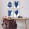 Stupell Industries Indigo Blue Ocean Plants Coastal Kelp 4pc Framed Giclee Set - 2 of 4