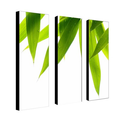 Trademark Fine Art -Philippe Sainte-Laudy 'Life is Green' Canvas Art