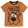 Scooby-Doo Scooby Doo Daphne Fred Velma Pajama Shirt and Shorts Sleep Set Little Kid to Big Kid - 2 of 4