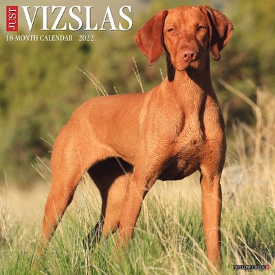 2022 Wall Calendar Just Vizslas - Willow Creek Press