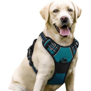 rabbitgoo Dog Harness No Pull with 2 Leash Clips, Control Handle for Large Dogs, Blue Coral, L - 1 of 1