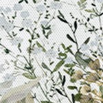 coastal white