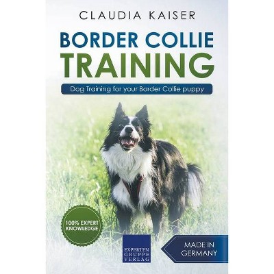 collie dog training