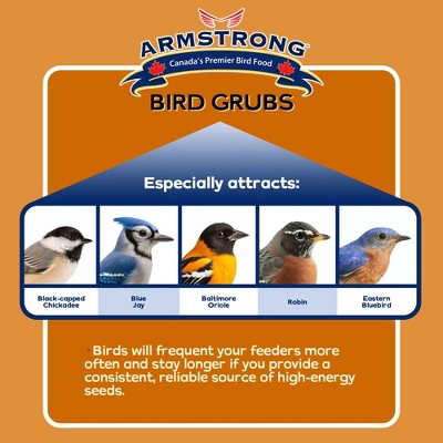 Armstrong Bird Grubs 0.33lb High-Energy Wild Bird Food