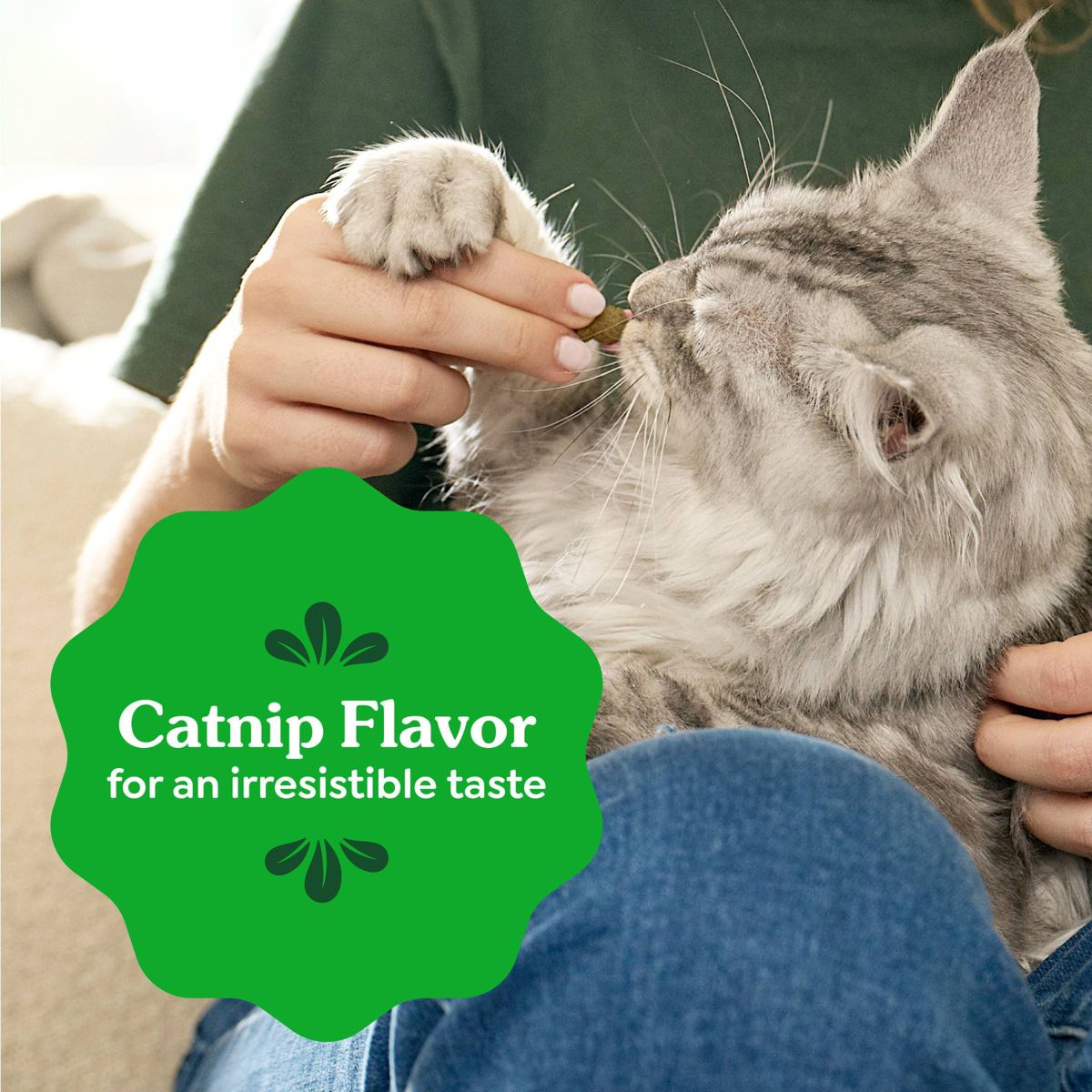 Greenies Catnip Flavor Dental Cat Treats - thumbnail 6