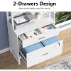 Tribesigns 2 Drawers Vertical File Cabinet, Filing Cabinet Printer Stand with Open Storage Shelves - 4 of 4