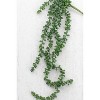 Artificial Necklace Fern Succulent 29"L Plastic & Wire Hanging Greenery – Realistic Faux Plant (Set of 6) By Kalalou - 3 of 3
