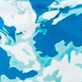 tidal wave