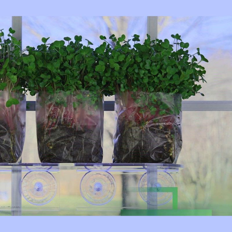 Window Garden Indoor Broccoli Microgreens Seed Starter Vegan Growing Kit, 3 of 4