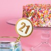 Pavilion Gift Company - 21 - 24 Pack Party Straws - Party Decorations and Accessories - 2 of 4