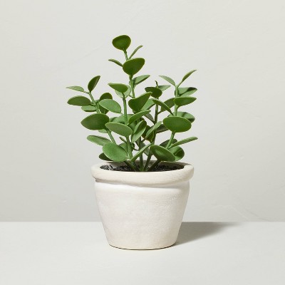 7.5" Mini Faux Succulent Plant - Hearth & Hand™ with Magnolia