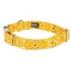 Country Brook Petz Premium Dog Collar - Country and Western Collection - 2 of 4