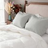 2 Pack Brushed Microfiber Pillow Shams, Super Soft and Cozy Oxford Pillowcases - NTBAY - 3 of 4