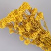 Alilang Decorative Dried Berry Stems for Home Decoration and Floral Arrangements, 17 Inches - 2 of 3
