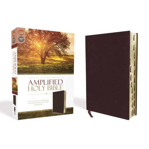 Amplified-Am - by  Zondervan (Leather Bound) - image 1 of 1