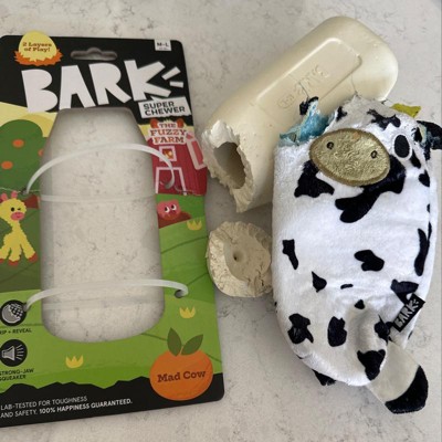 Bark Acorn Super Chewer Dog Toy : Target