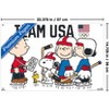 Trends International Team USA x Peanuts – Olympic Hockey Team Unframed Wall Poster Prints - 3 of 4
