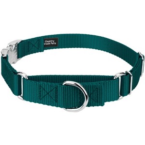 Country Brook Petz Heavyduty Nylon Martingale with Premium Buckle - 1 of 4
