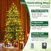 Resenkos 6-Foot Pre-Lit Artificial Christmas Tree with Warm White LED Lighting - Green - 2 of 4
