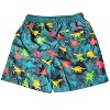 Heat Swimwear Boys Printed Tie Front Swim Trunk Board Shorts, Dinos - 2 of 2