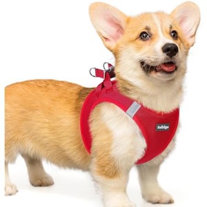 rabbitgoo Small Dog Harness, Step-in Soft Mesh Puppy Vest with Safety Buckle, Breathable Reflective Pet Harness for Small Medium Dogs, Red L - 1 of 1