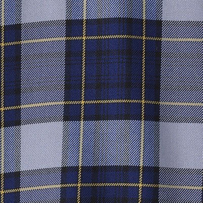 classic navy plaid