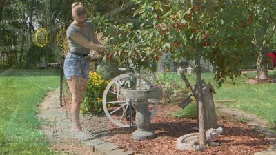 Gray Polyresin Bird Bath with Feeder Compartment, 27" Tall