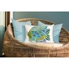 Liora Manne Visions III Coastal Indoor/Outdoor Pillow.. - 2 of 2