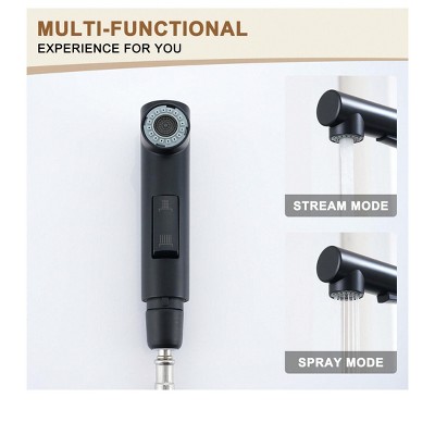 Matte Black Single-Handle Pull-Out Kitchen Faucet with Deck Plate